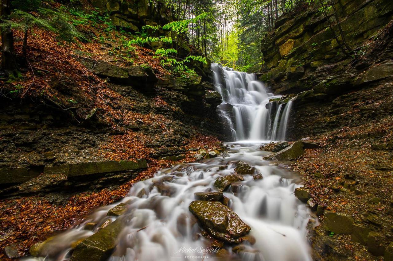 Beskid Завоя Экстерьер фото